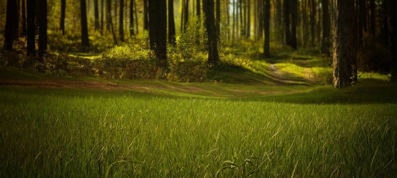 Stadt Bergisch Gladbach kauft weitere Flächen rund ums Schloss Lerbach