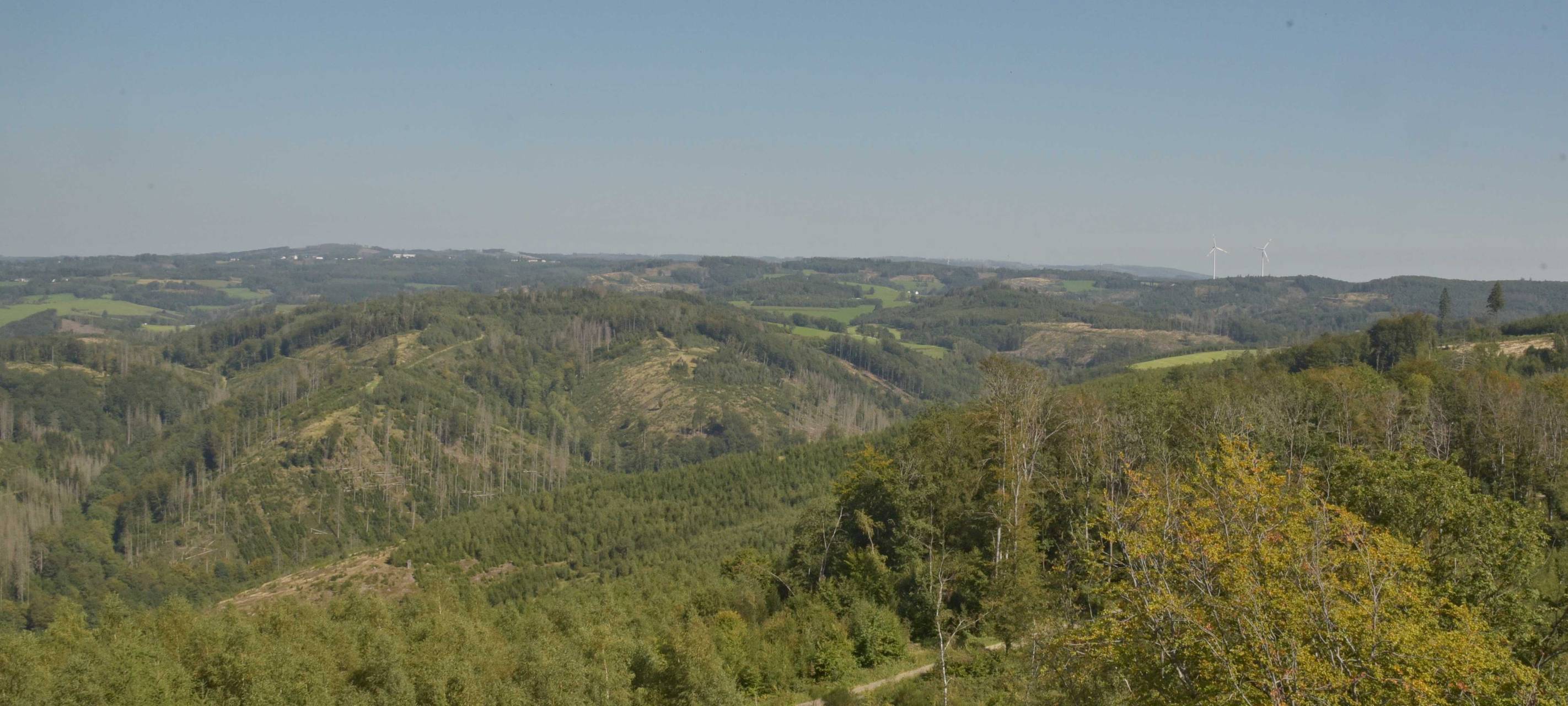 Sonne satt beim Radio Berg Wandertag