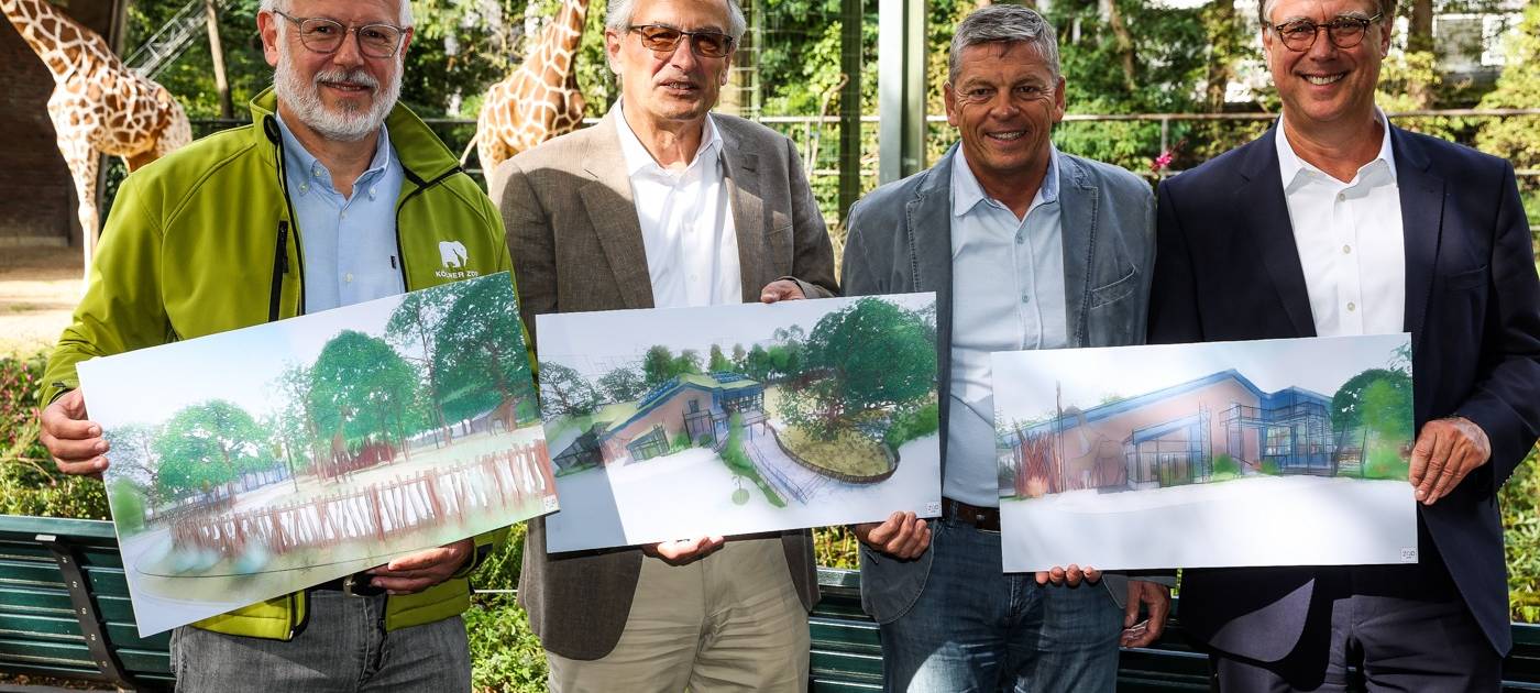 Giraffen im Kölner Zoo bekommen neue Anlage
