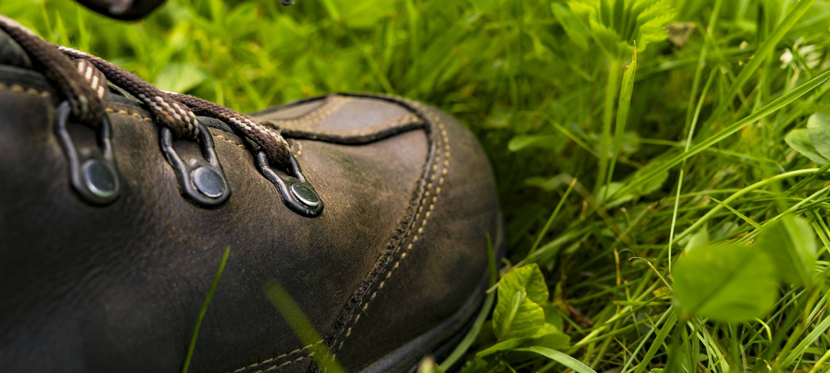 Rhein-Berg: Werbung für den Wanderbus