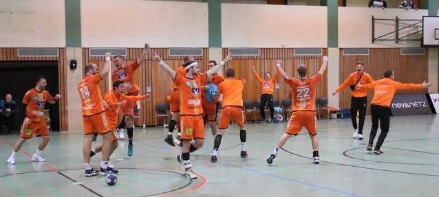 Handball: Panther so gut wie gerettet