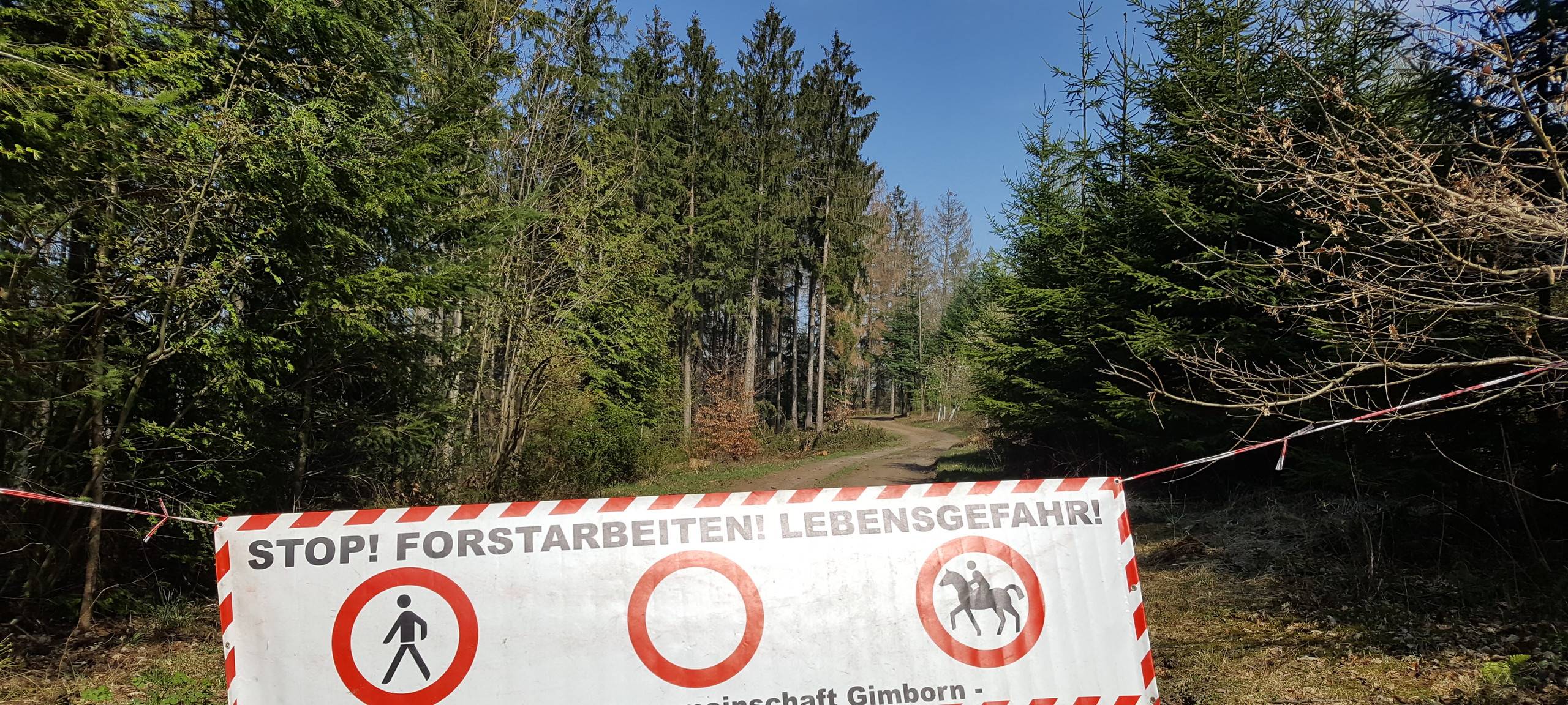Der bergische Wald wird sich ändern