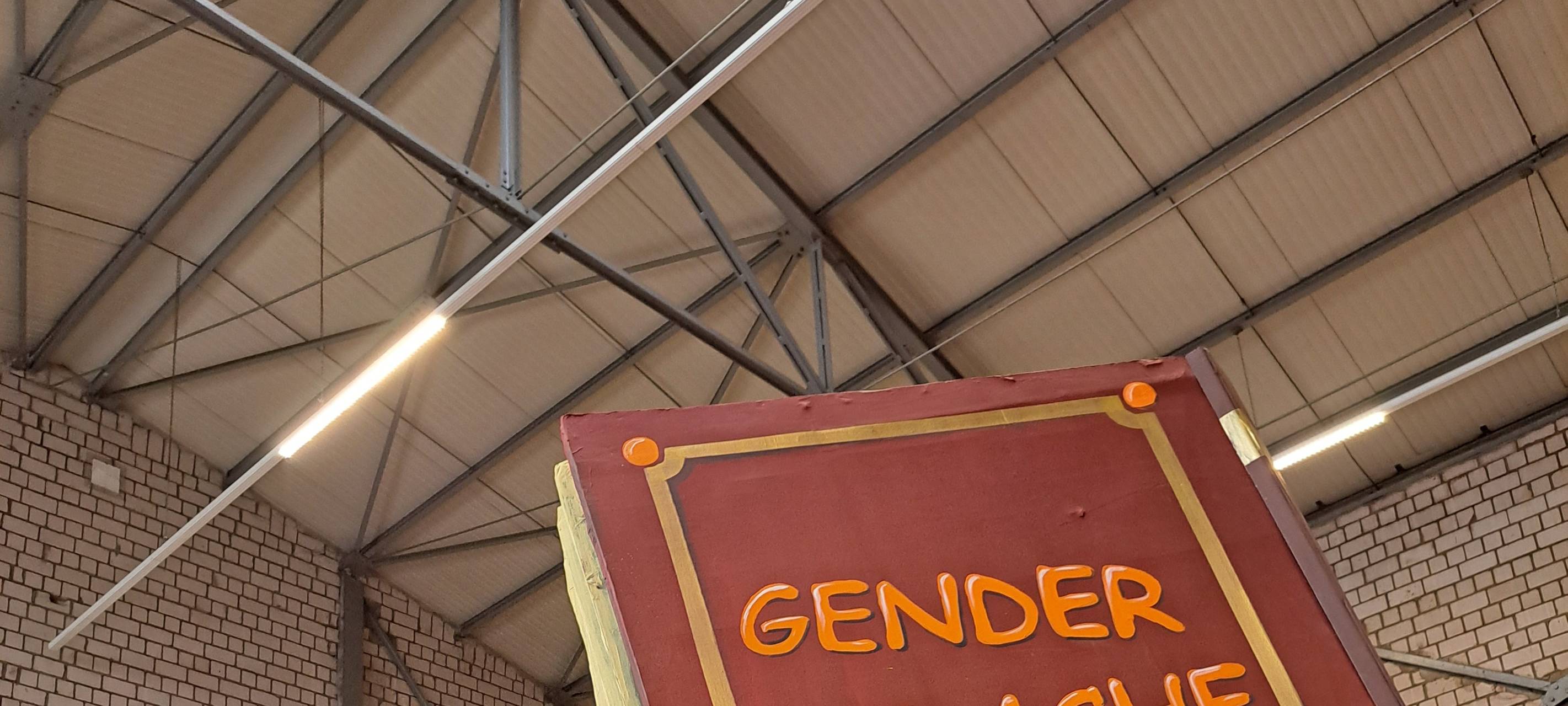 Persiflagewagen beim Rosenmontagzug 2024