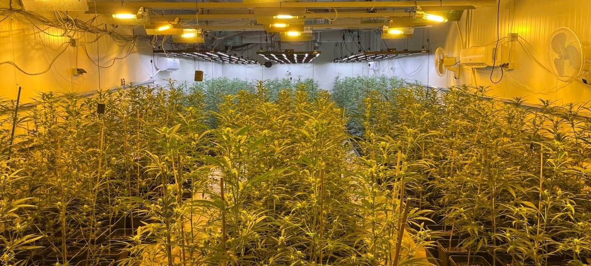 Drogen-Razzia auch in Bergisch Gladbach