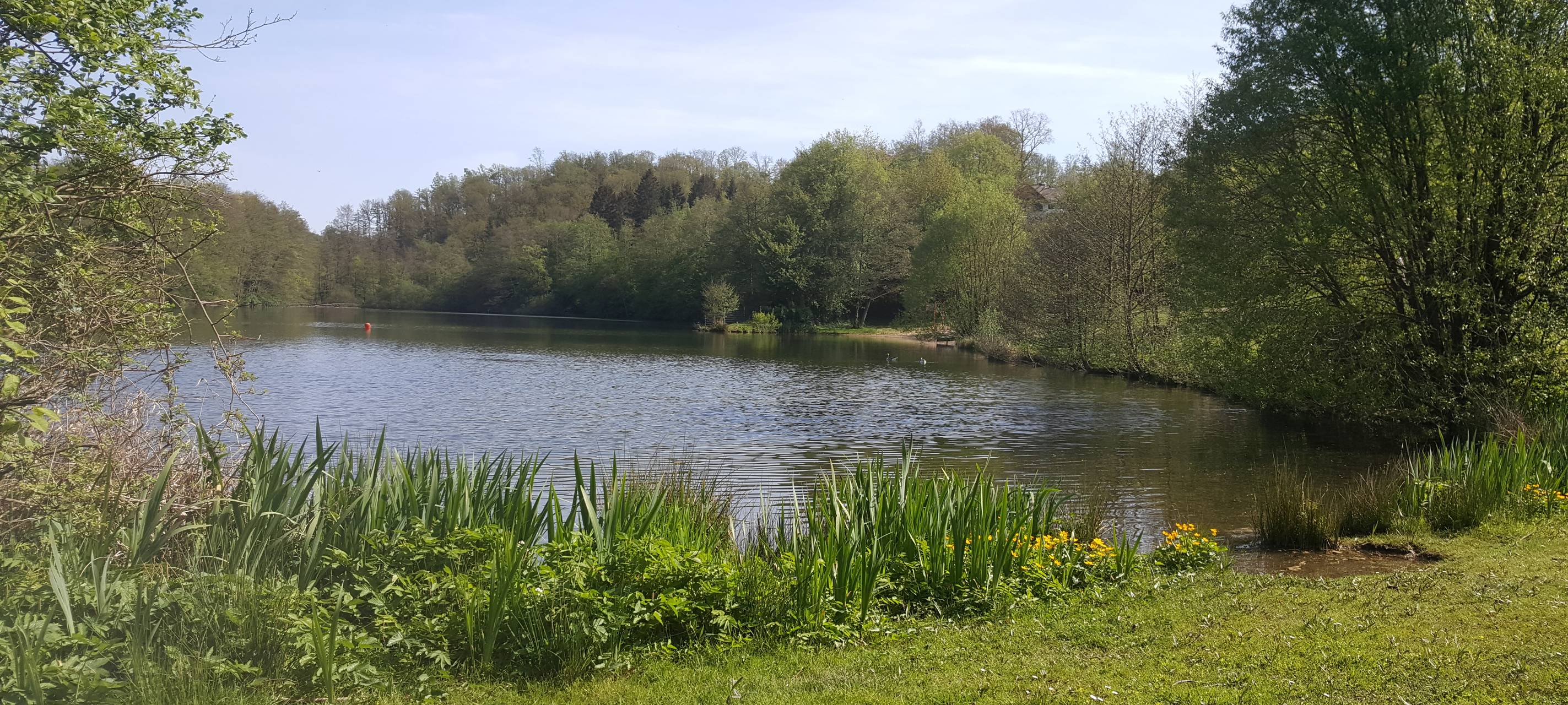 Bergneustadt: DLRG hofft auf Fördergelder