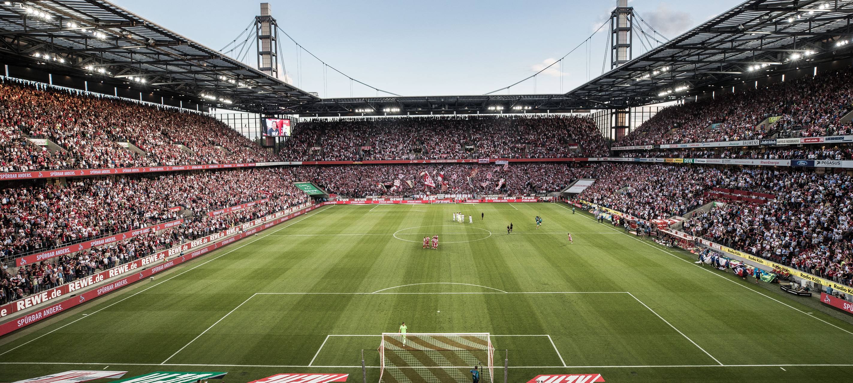 Österreicher Struber wohl neuer Trainer des 1. FC Köln