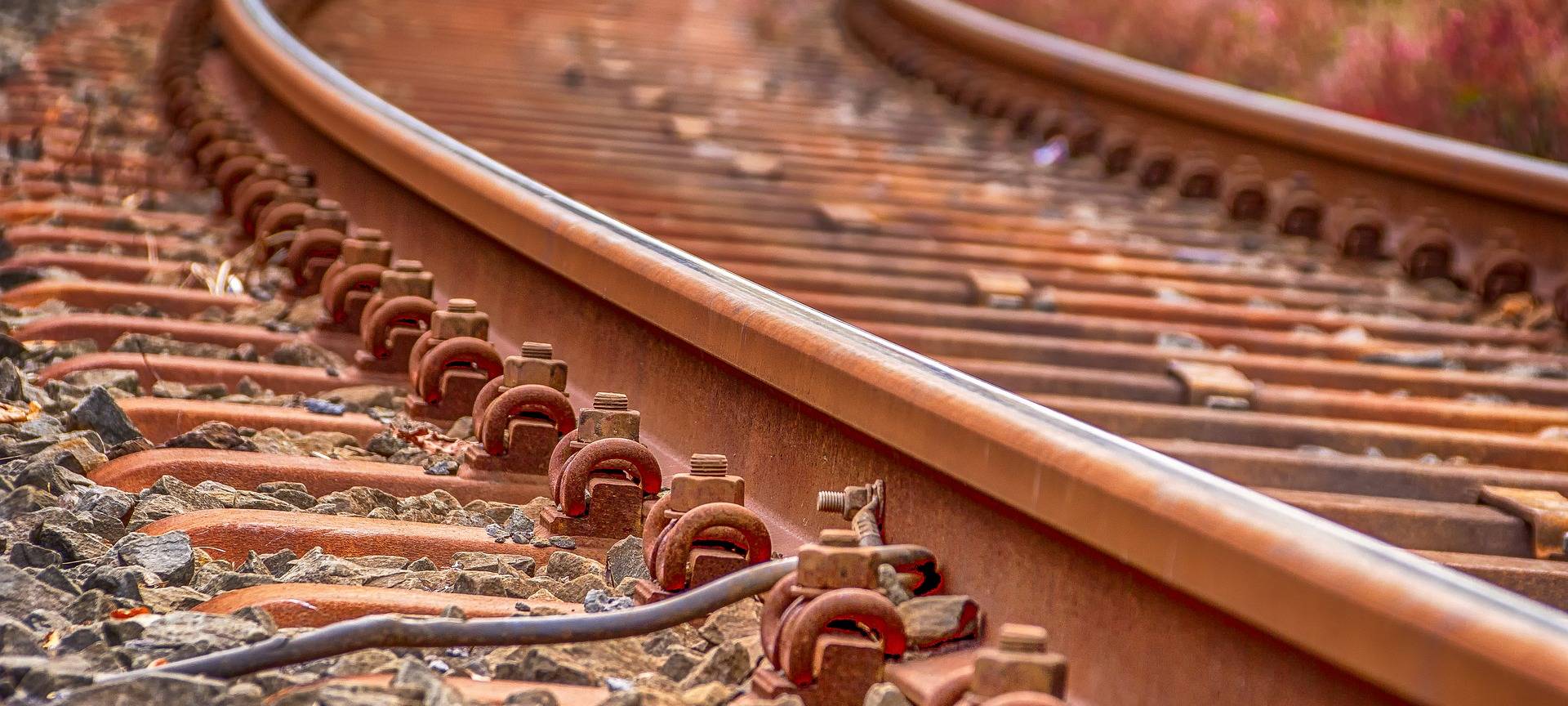 Vergiftete Tierköder an Bahngleisen ausgelegt?