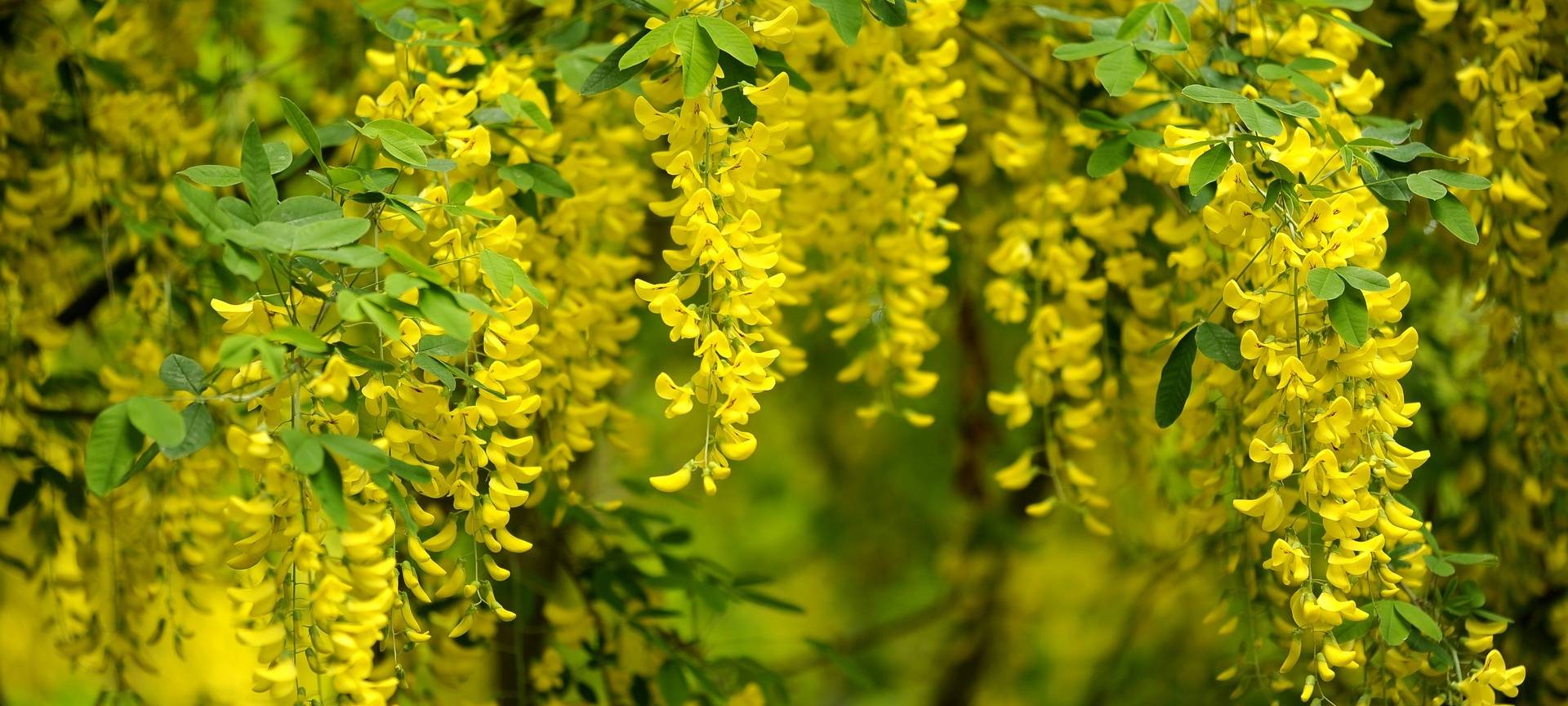 Bergisch Gladbach: Sonderkontrollen auf Spielplätzen