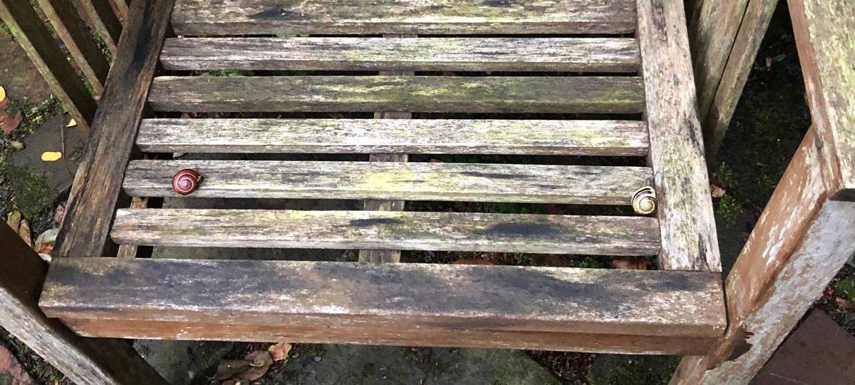 "Bitte keine Nacktschnecken im Wald aussetzen!"