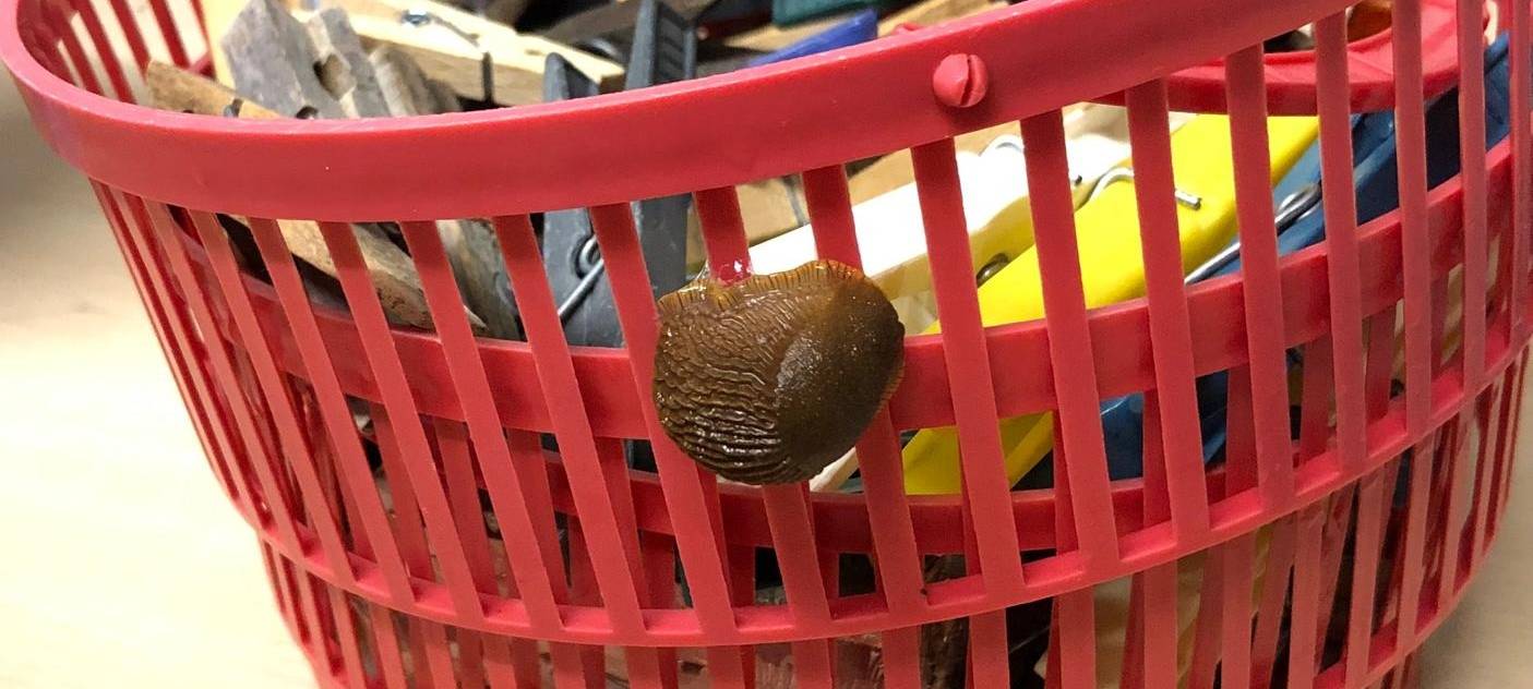 "Bitte keine Nacktschnecken im Wald aussetzen!"