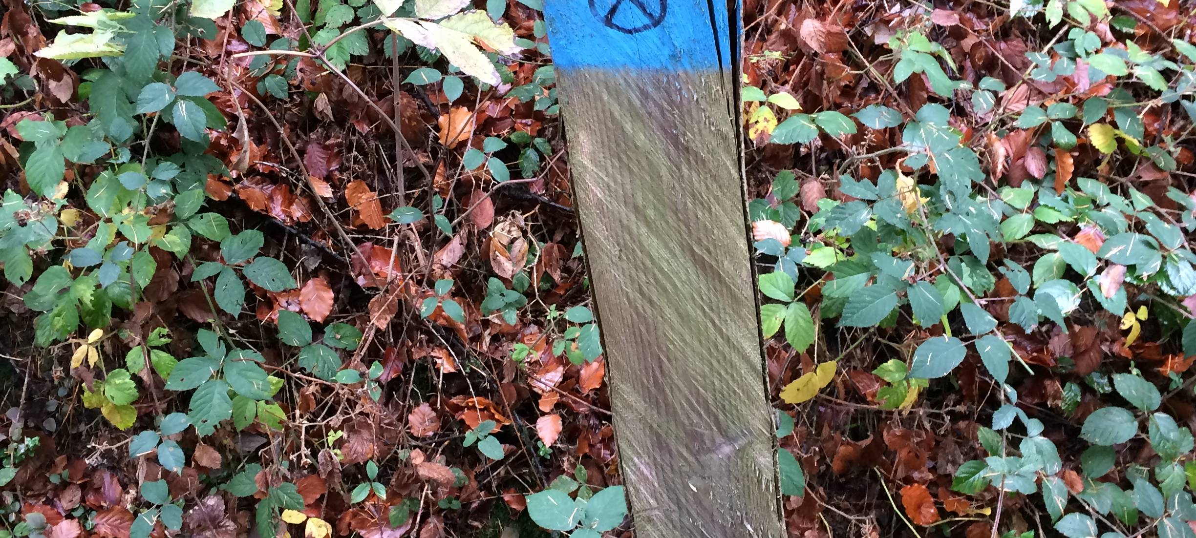 Rechte Aufkleber an bergischen Wanderwegen