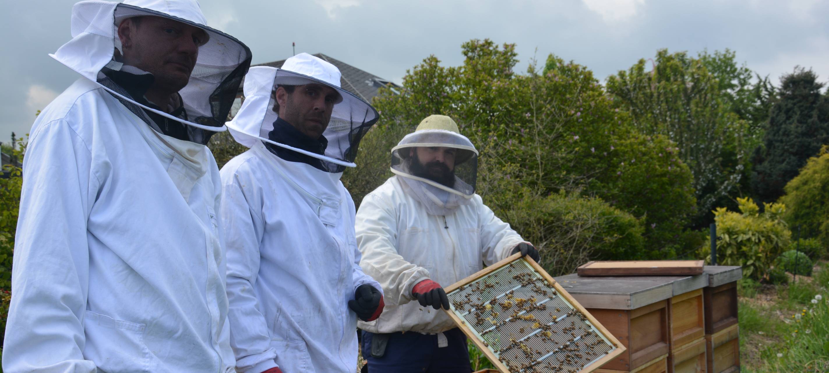 Knastbienen in Leichlingen
