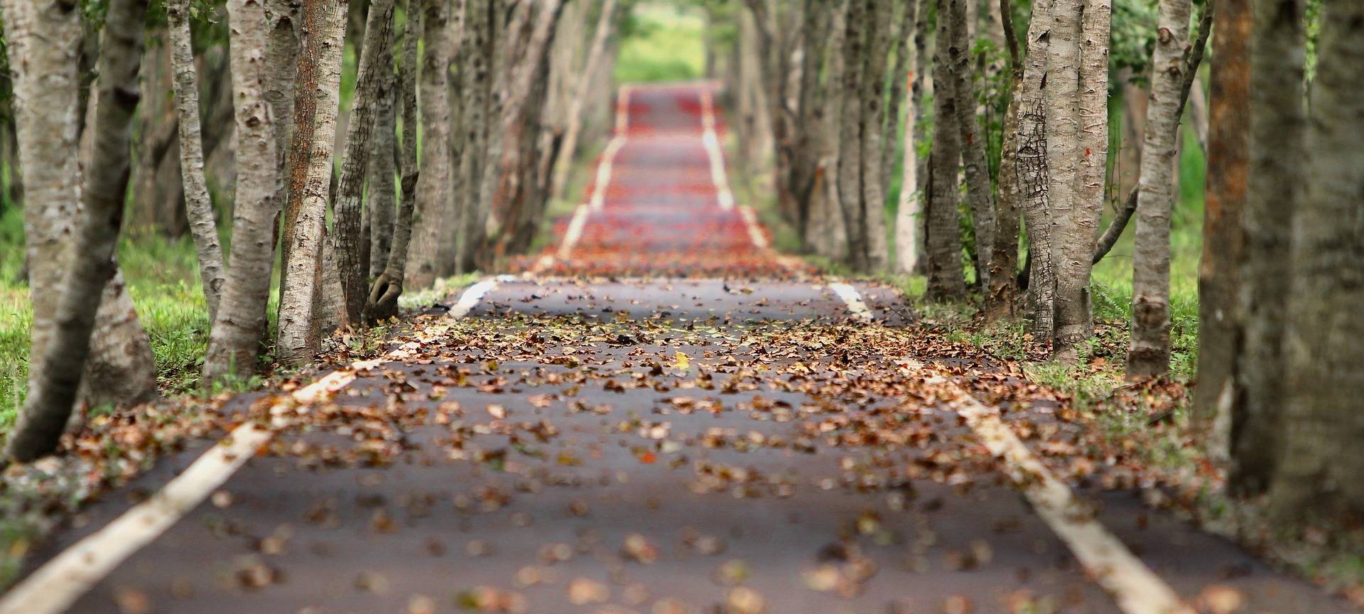 Herbst: Viele Gefahren auf den Straßen
