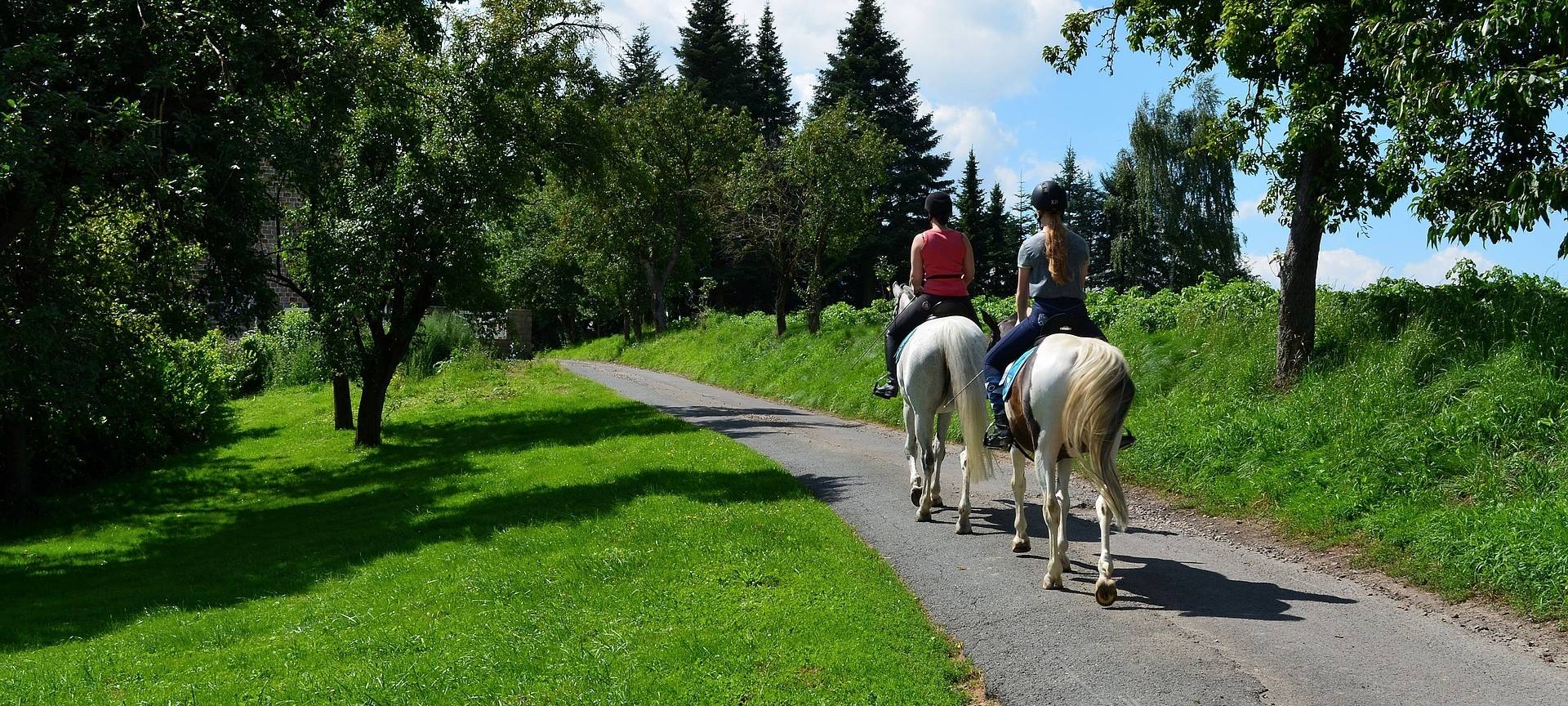 Oberberg: Jetzt Reitplakette beantragen