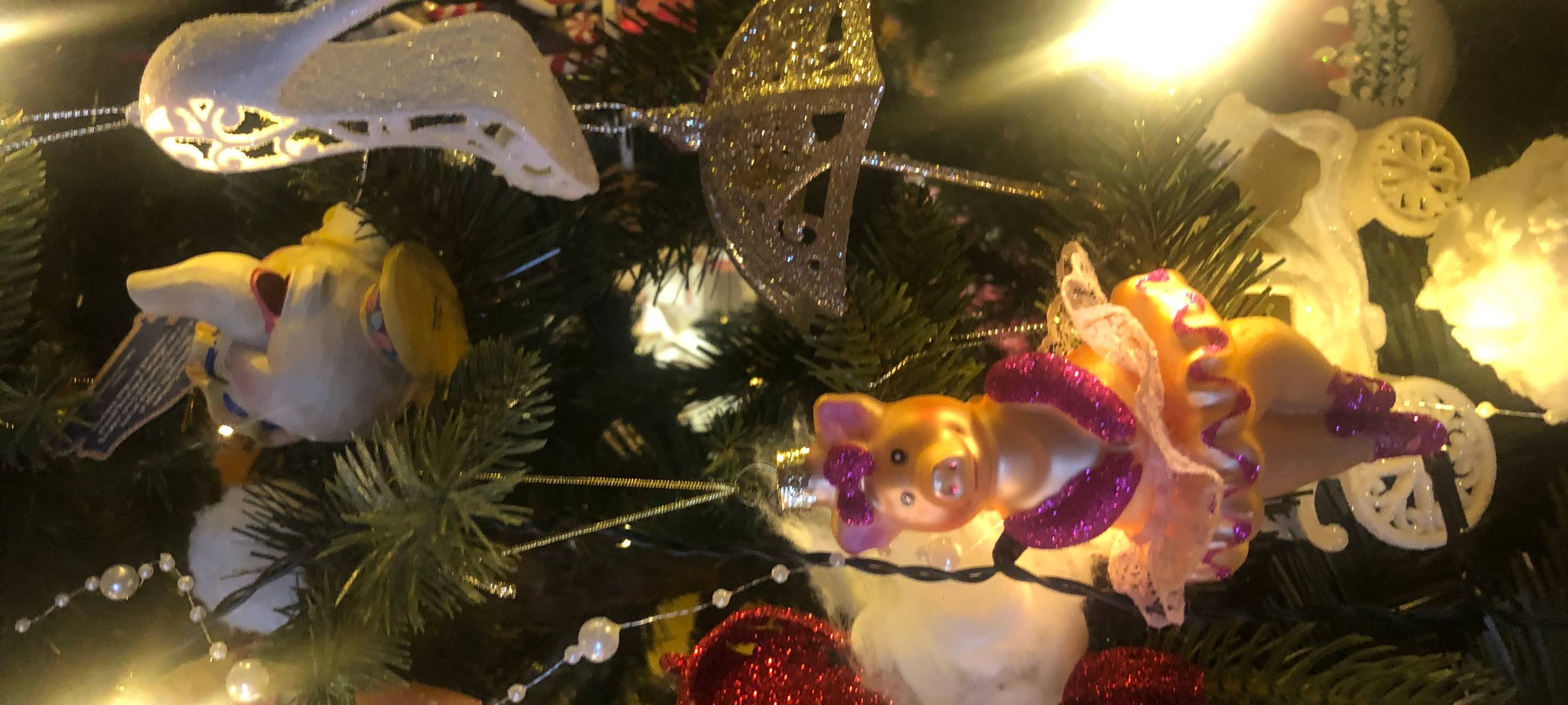 Die schönsten Weihnachtshäuser im Bergischen