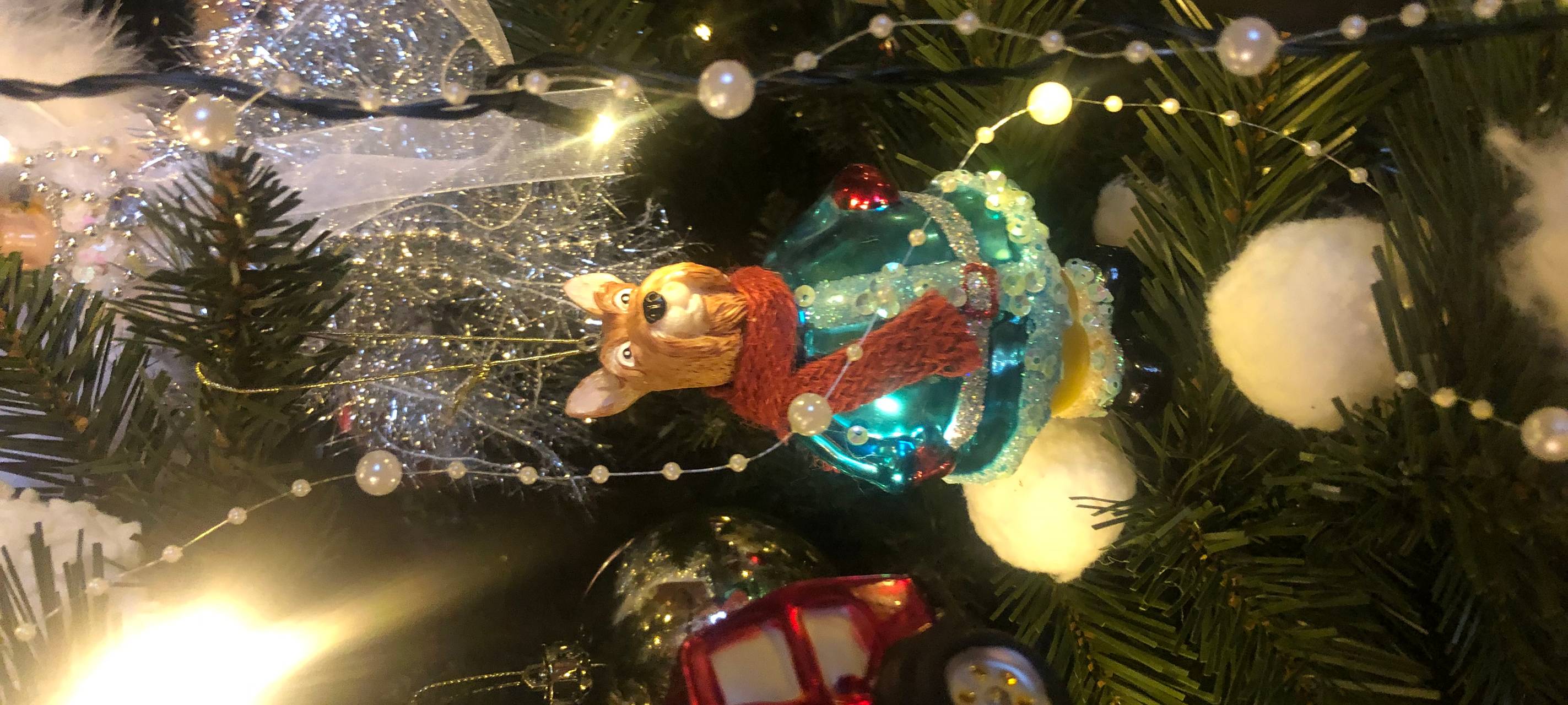 Die schönsten Weihnachtshäuser im Bergischen