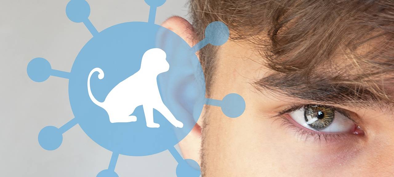 Affenpocken im Rheinisch-Bergischen Thema im Landtag?