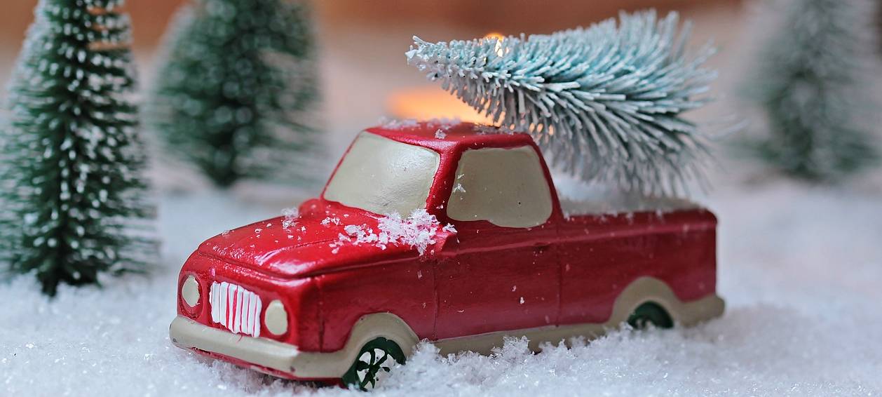 Weihnachtsbaum-Abholung im Bergischen