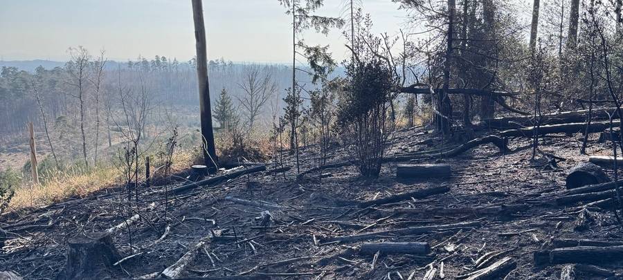 Feuerwehr: Waldbrand und Co gelöscht