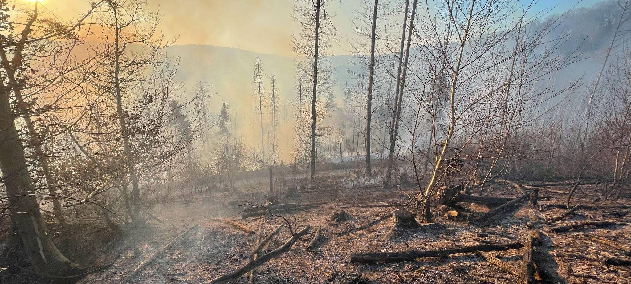 Overath: Viele Einsätze nach Waldbrand