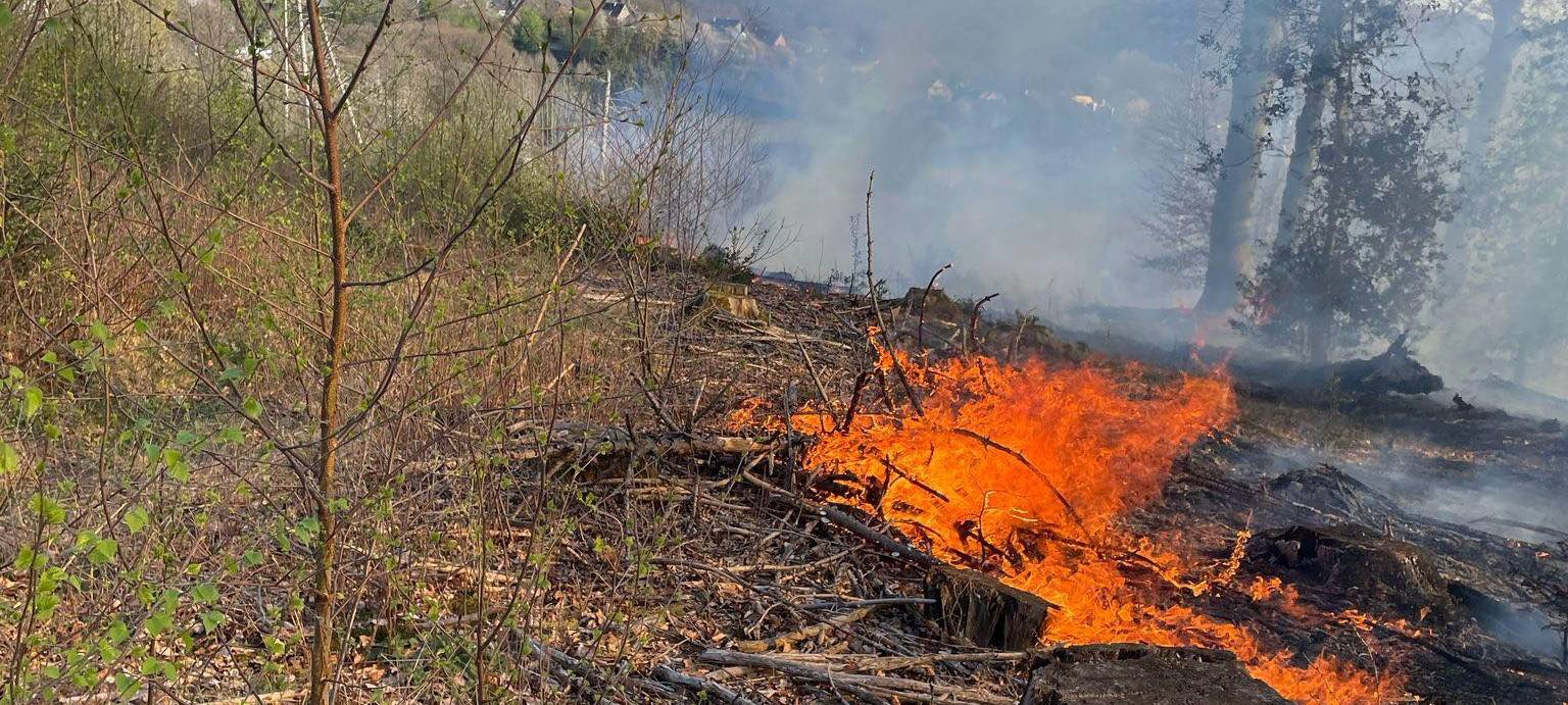 Waldbrand: Lage in Overath-Brombach hat sich entspannt