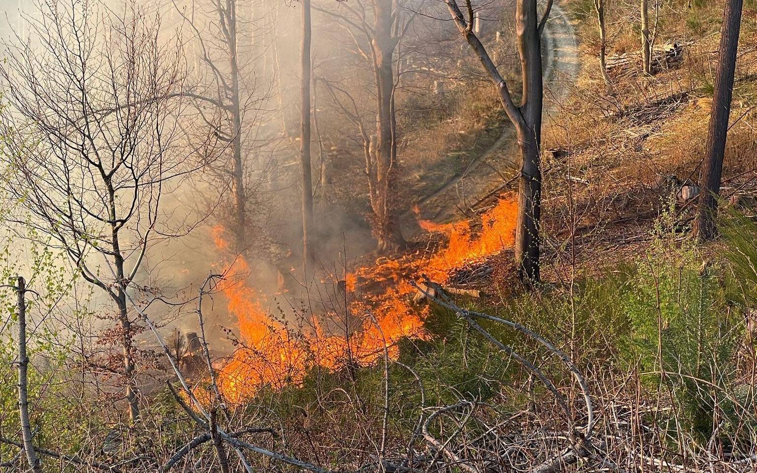 Oberberg: Waldbrände in Lindlar und Waldbröl