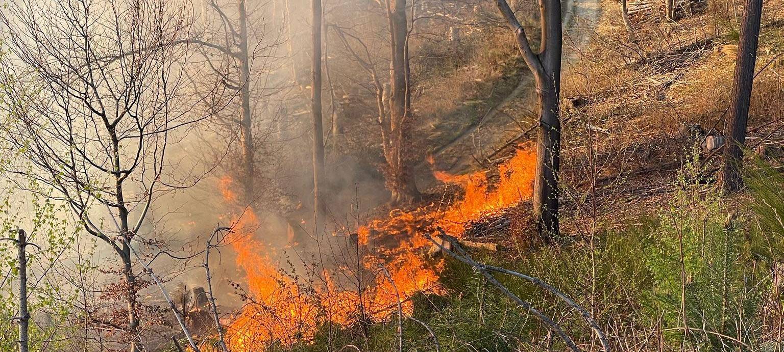 Waldbrand: Lage in Overath-Brombach hat sich entspannt