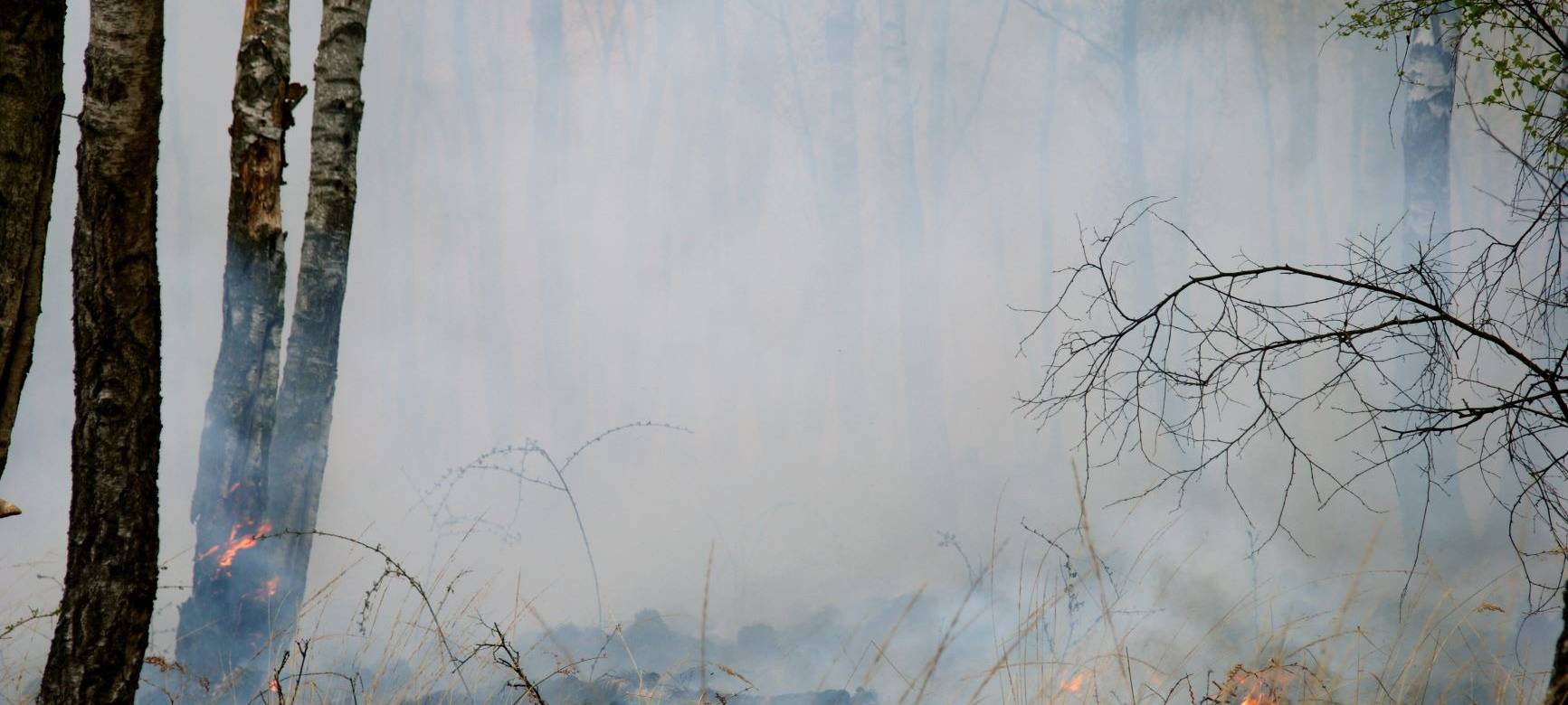 Erhöhte Waldbrandgefahr - Einsätze in Burscheid und Waldbröl