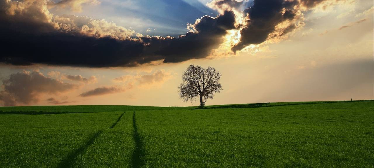 Trockenheit für Bergische Bauern bisher kein Problem