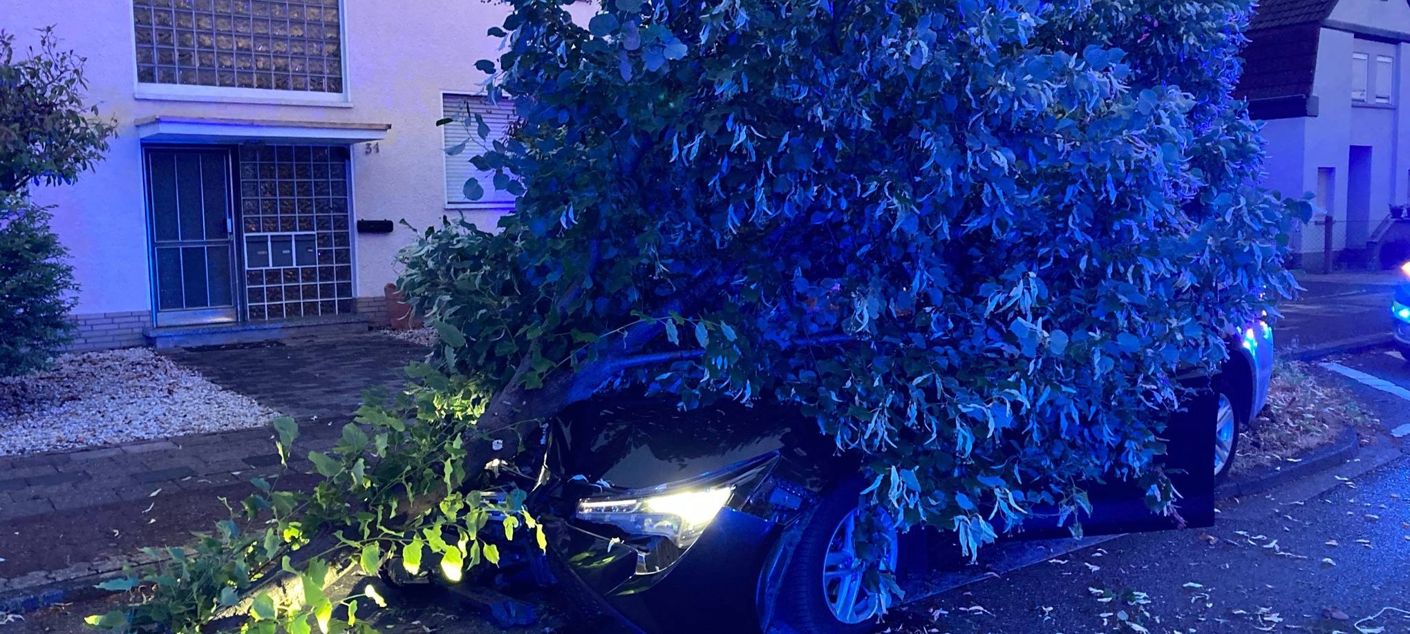 Bergisch Gladbach: Baum kracht auf Auto