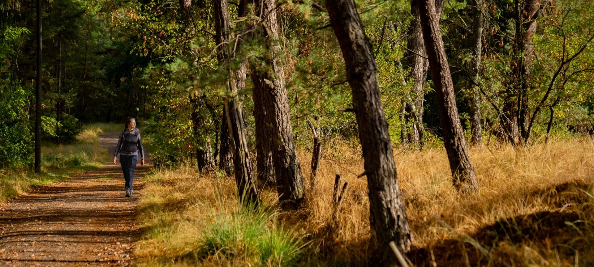 Förderung für Projekte im Bergischen
