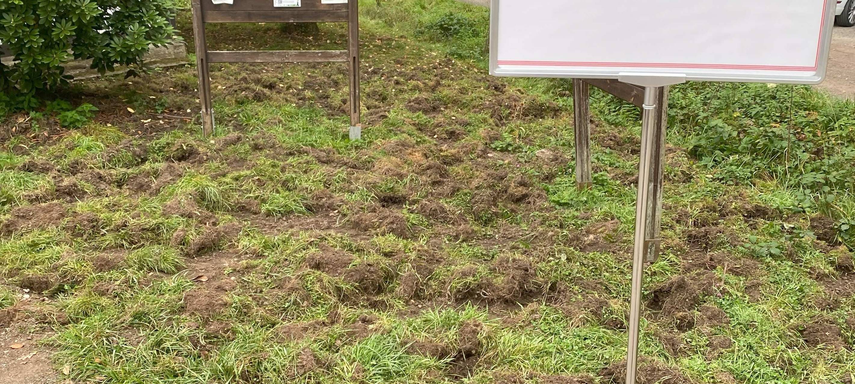 Rhein-Berg: Großangelgte Tierseuchen-Übung