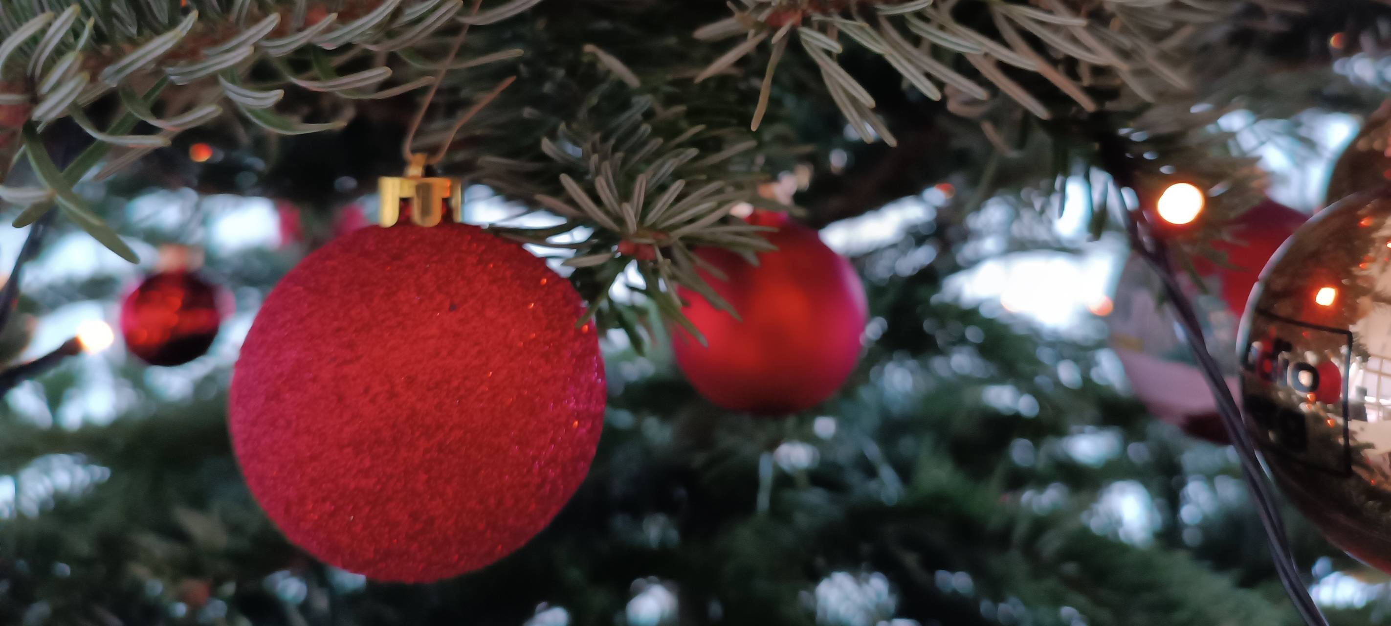 Bergisch Gladbach: Weihnachts-Aktion für Wohnungslose
