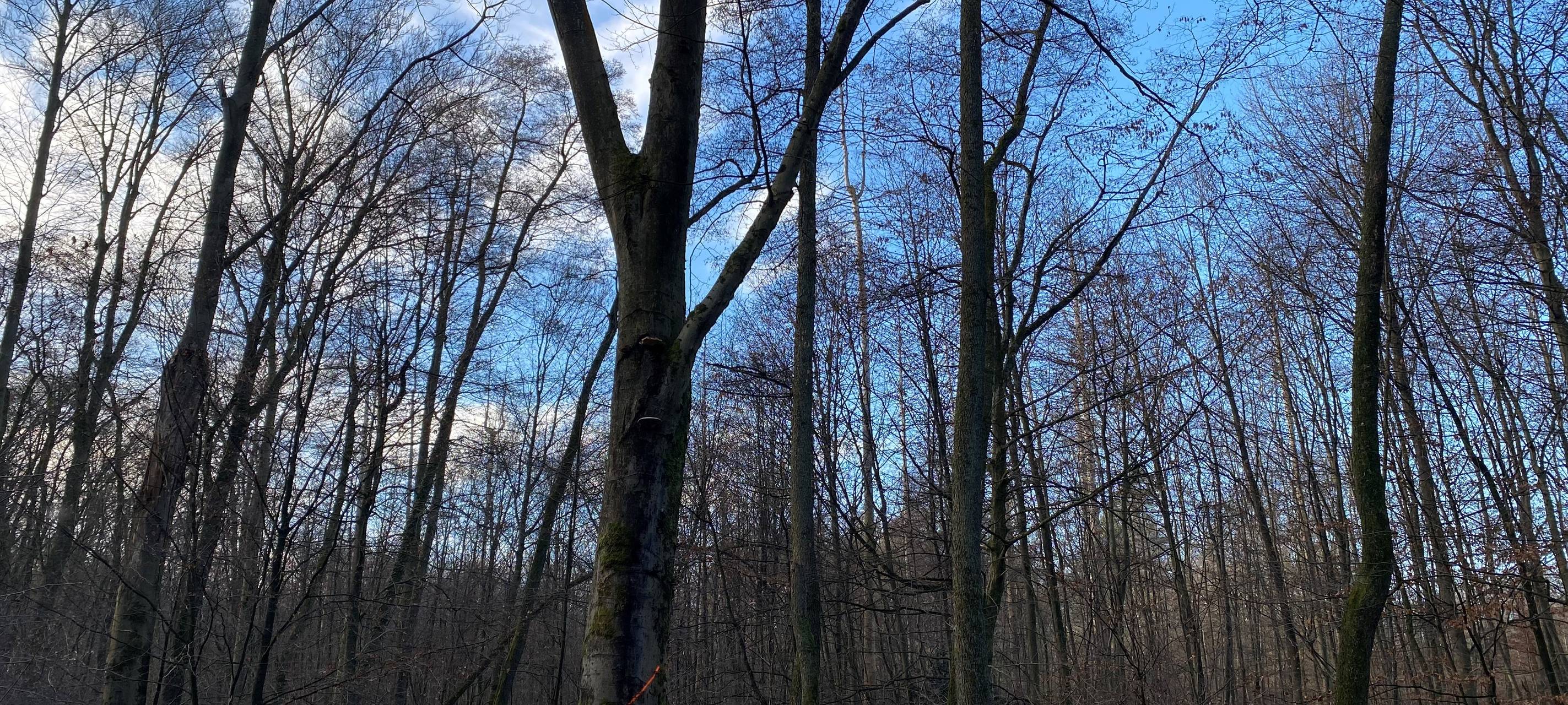 Millionenförderung für Straßensanierung im Bergischen