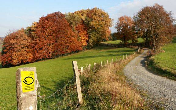 Mobil.NRW: Neue Wandertouren auch im Bergischen