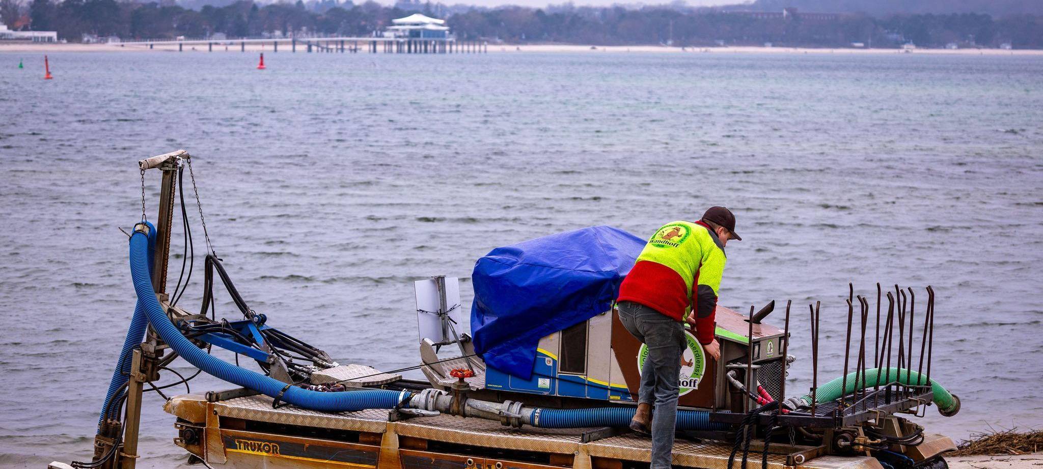 Wal an der Ostseeküste gestrandet