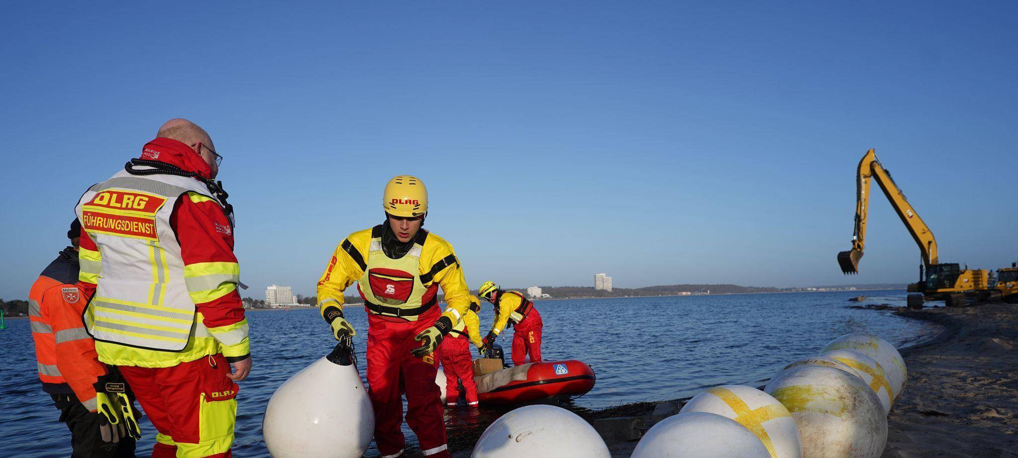 Wal an der Ostseeküste gestrandet