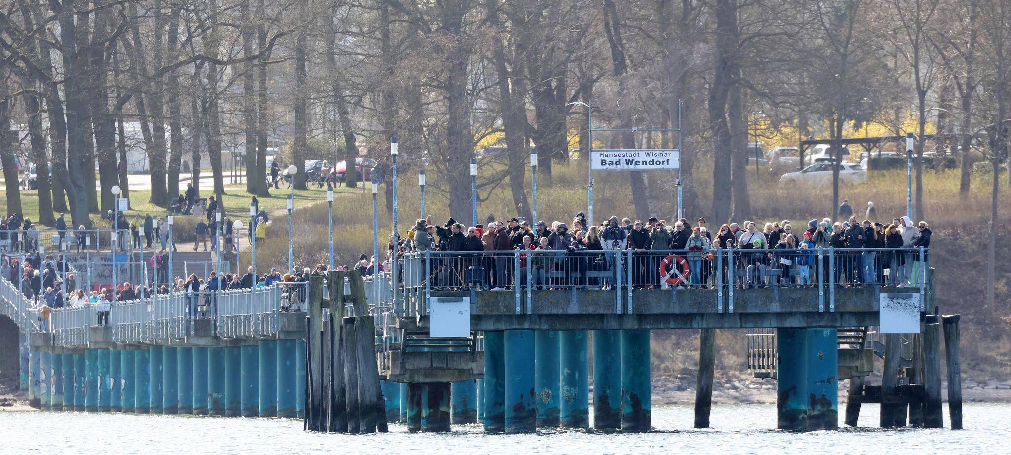 Buckelwal liegt weiter in Wismarbucht