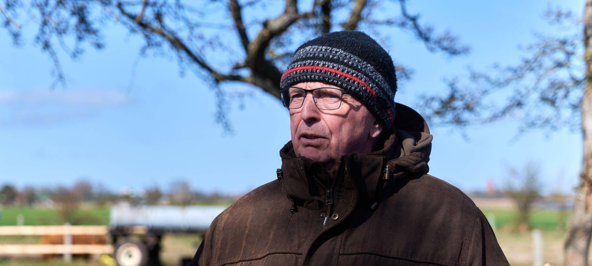 Buckelwal liegt weiter in Wismarbucht