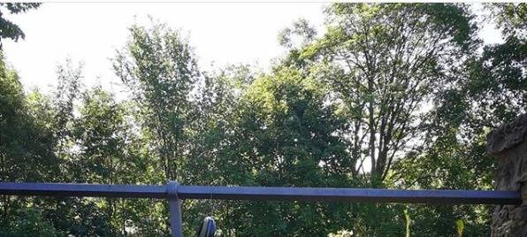 Die Greta Thunberg von Hückeswagen