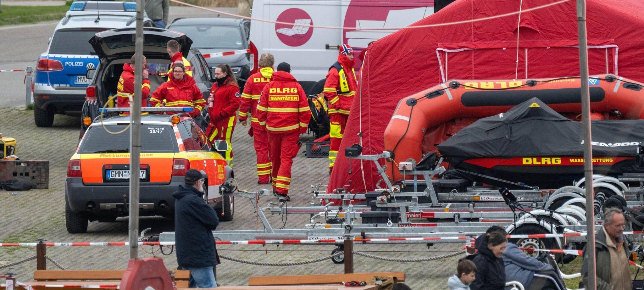 Rettungsaktion für den Buckelwal