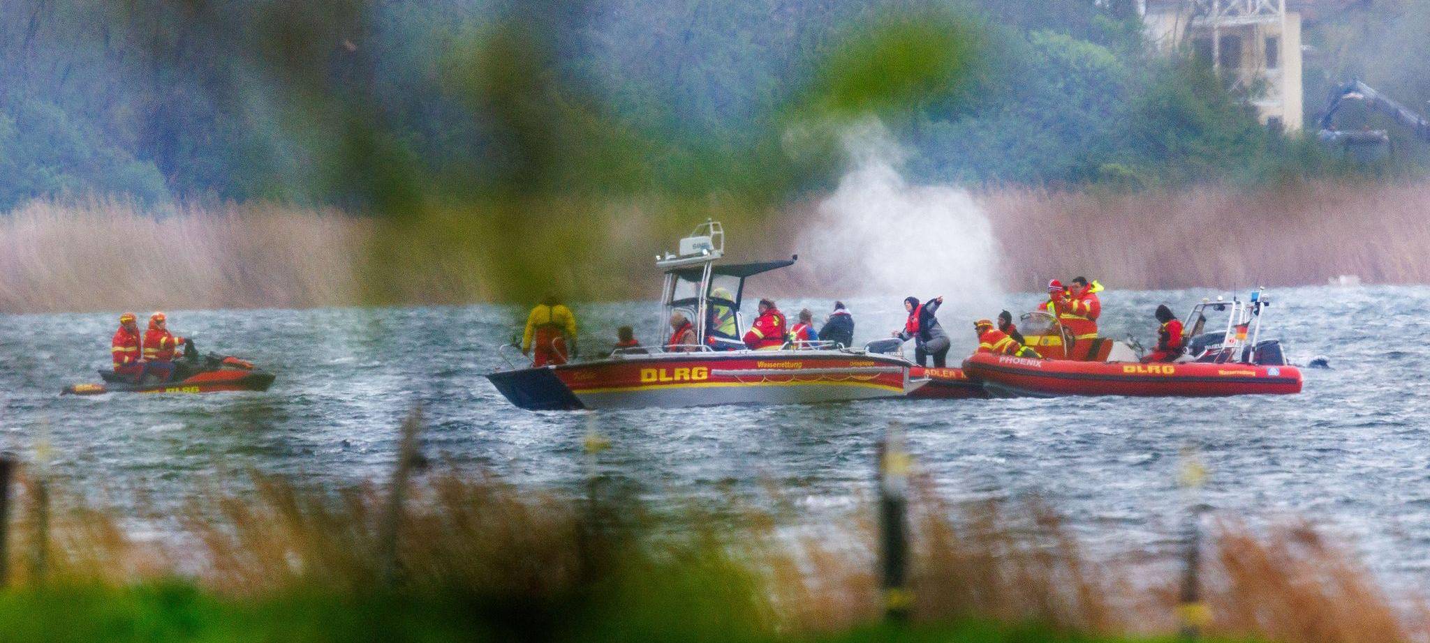 Gestrandeter Buckelwal ist geschwommen