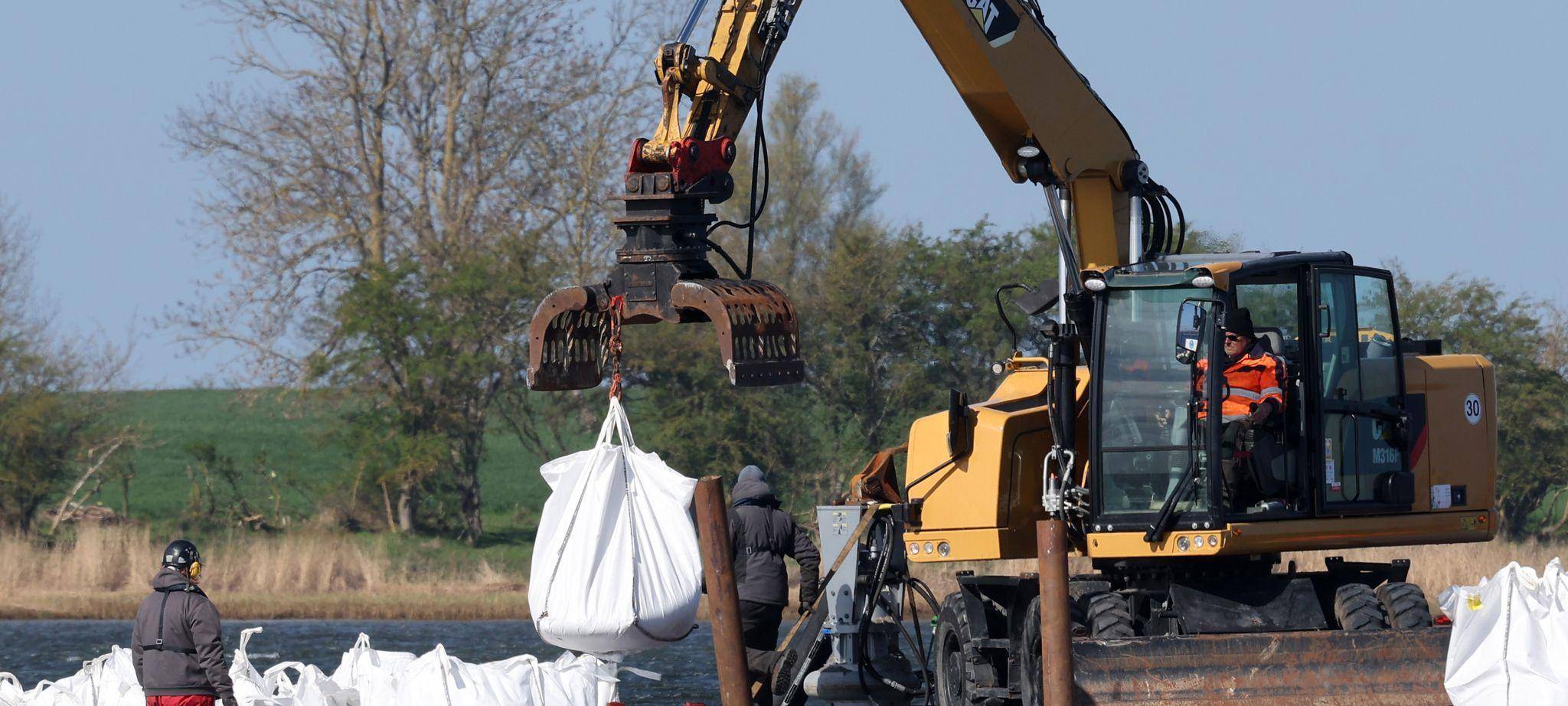 Rettungsaktion für den Buckelwal