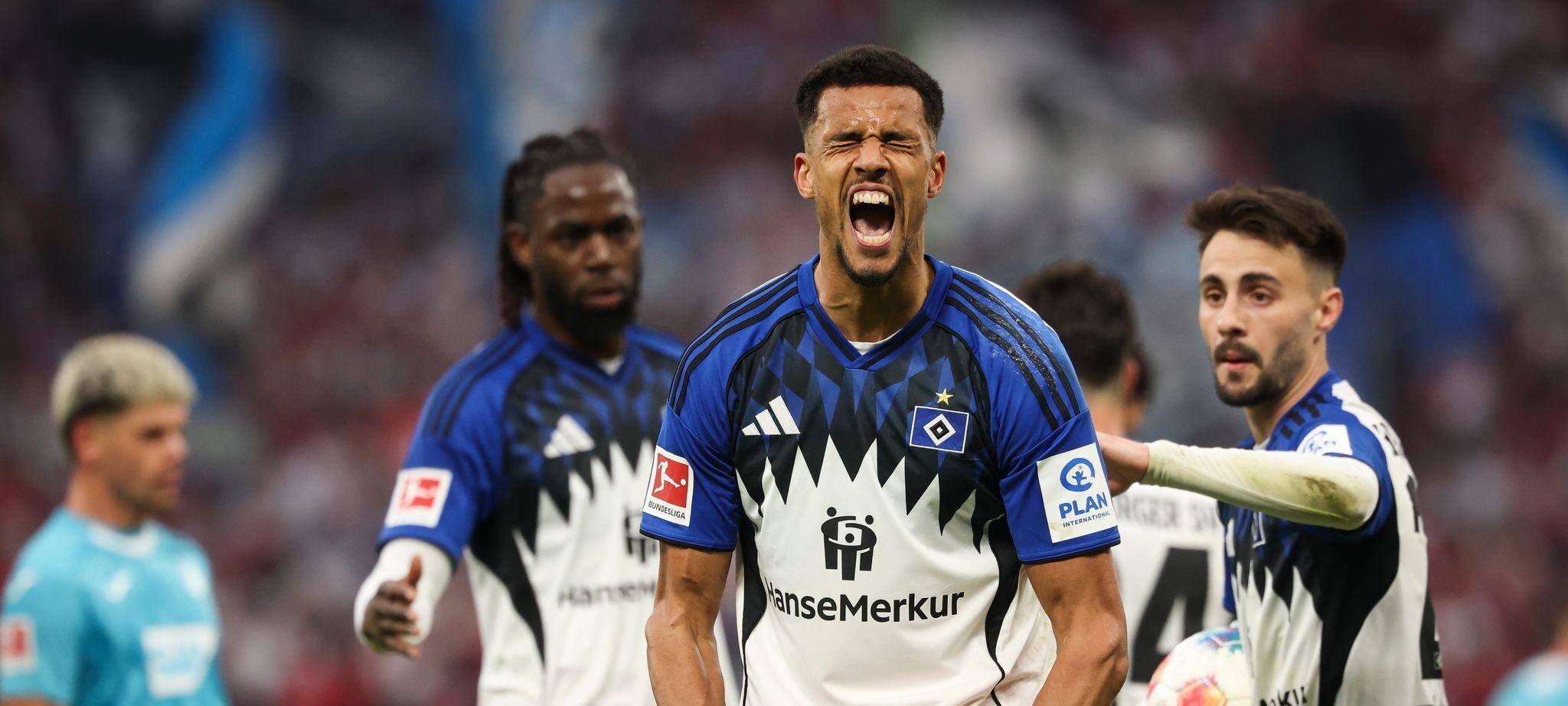 Hamburger SV - TSG 1899 Hoffenheim