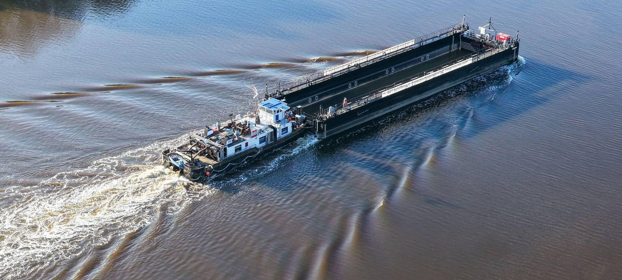 Weitere Entwicklung zum Buckelwal in der Ostsee