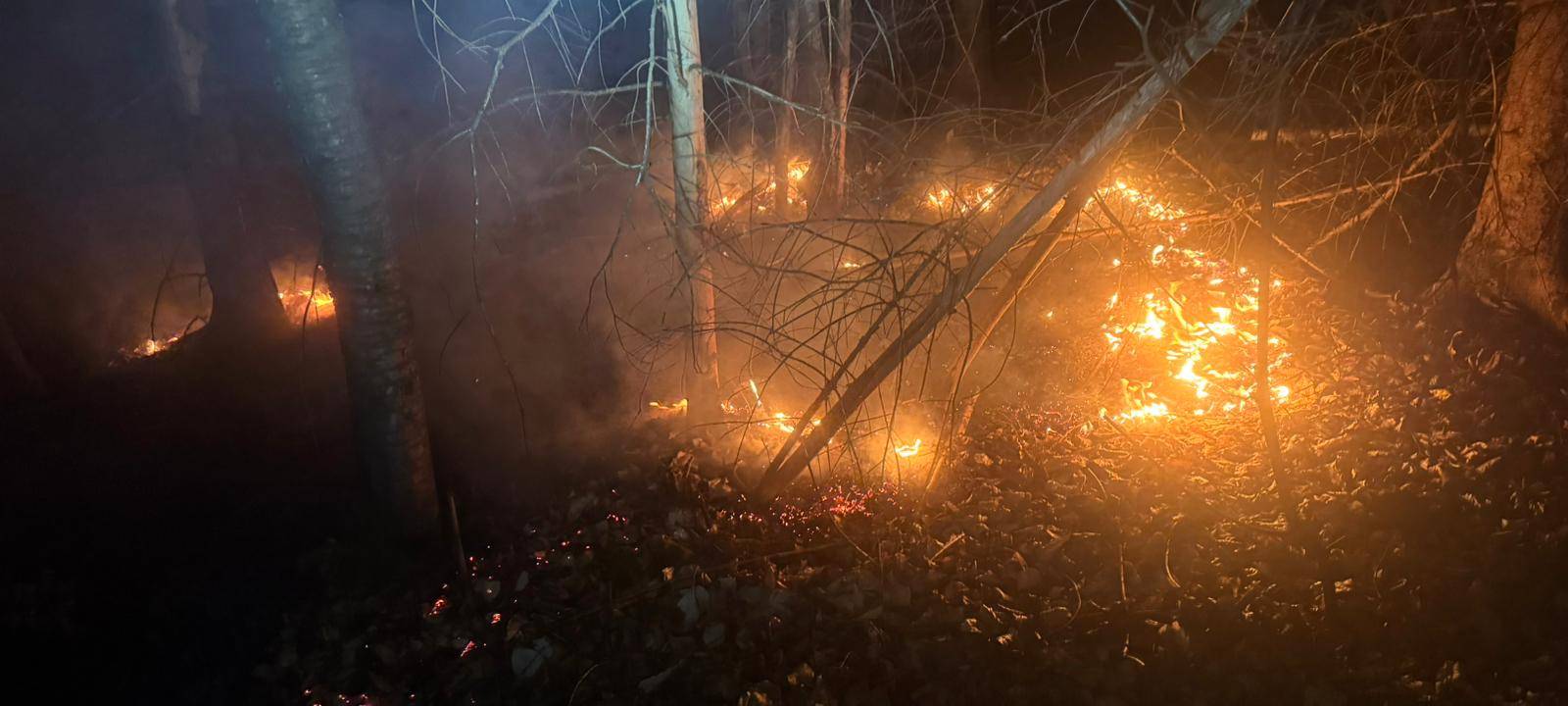 Zeitgleiche Waldbrände in der Nacht