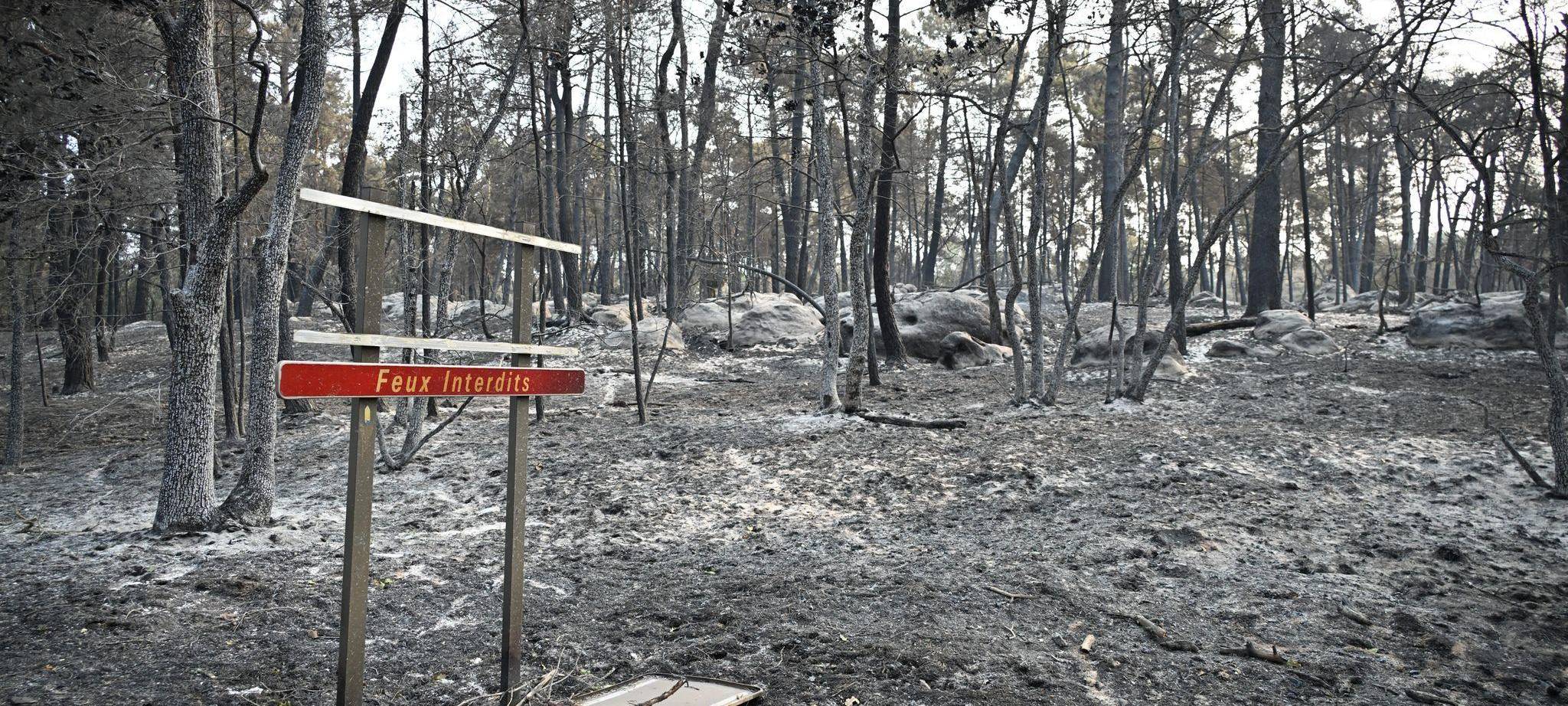 Waldbrand bei Paris