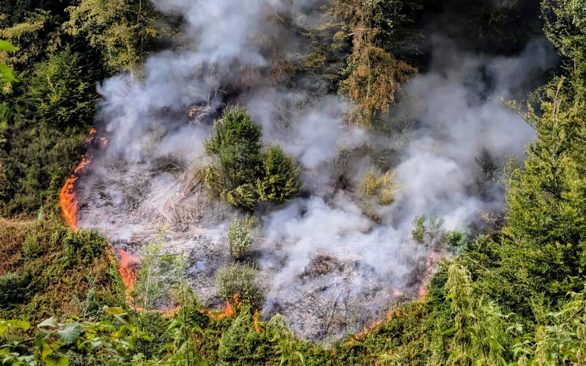 Rösrath: Waldbrand am Lüderich