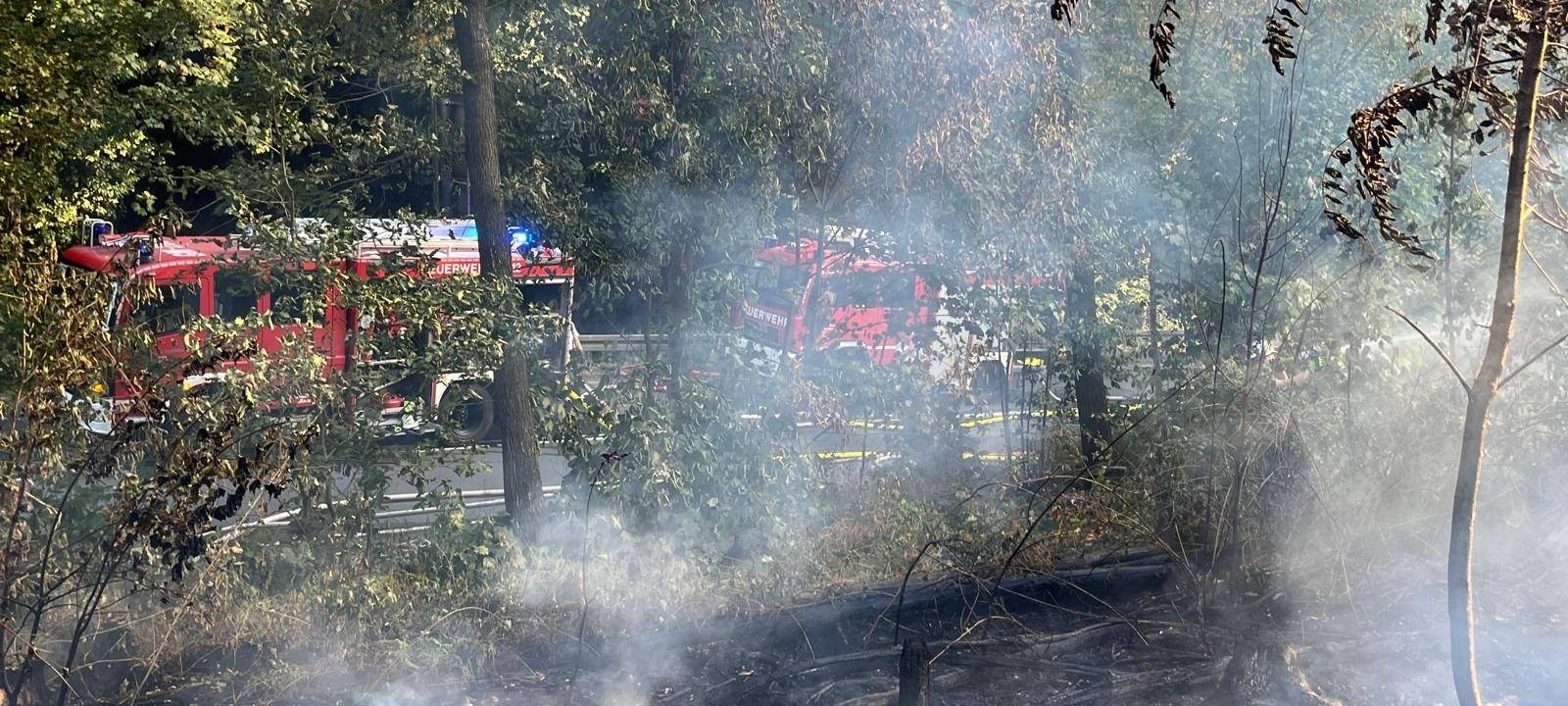 Mehrere Feuerwehreinsätze in Oberberg - großer Waldbrand in Lindlar