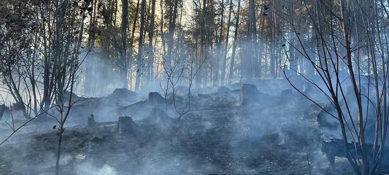 Mehrere Feuerwehreinsätze in Oberberg - großer Waldbrand in Lindlar